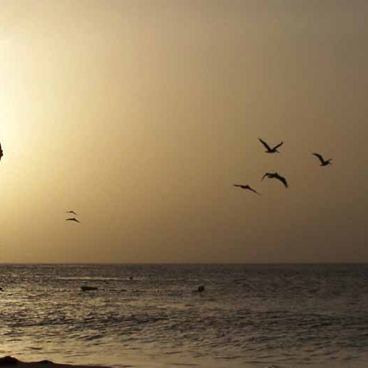 estabilidade-no-trabalho estabilidade-no-trabalho